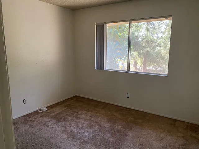 Wysteria Apartments — Photo 19