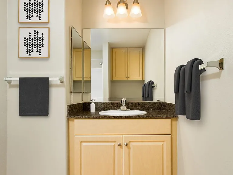 Classic Package I bath with oak cabinetry, dark granite countertop, and hard surface flooring
