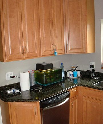 4th image of 7221 N Kilpatrick Ave