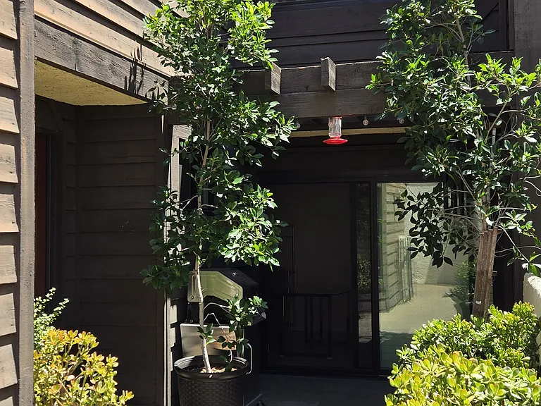 Front Patio