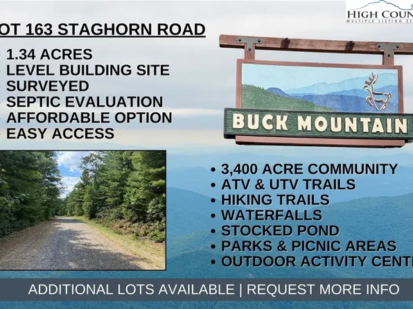 Lot 163 Staghorn Road, Purlear, NC 28665