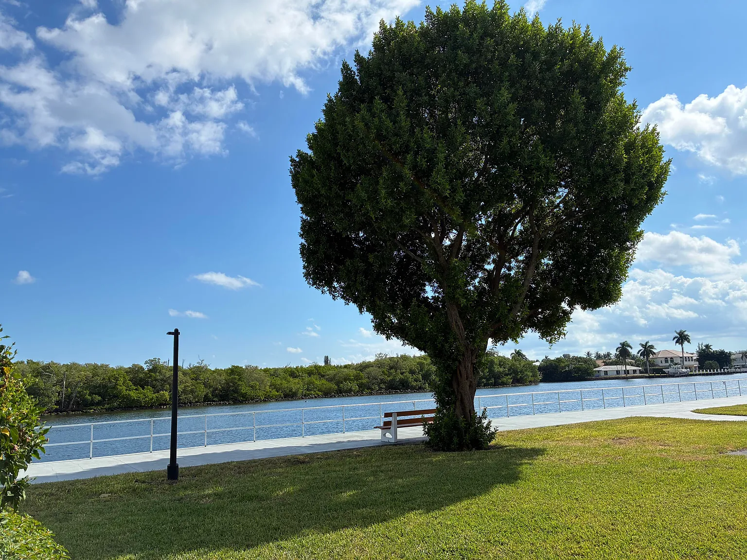 1 bed, 1.0 bath, 570 sqft, $1,600 — Photo 4