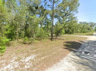 Lot 6 NE 124 STREET LOT 6, WILLISTON, FL 32696