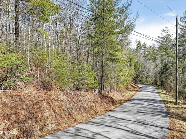 606 Dogwood Rd, Grandview, TN 37337
