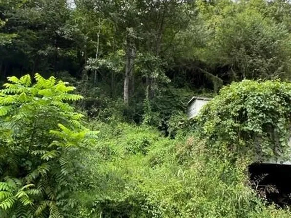 1080 Fairview Rd, Duffield, VA 24244