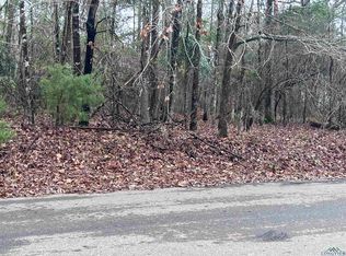 Kim Dr, Diana, TX 75640