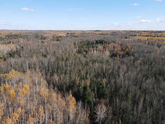 4th image of Rice Rapids Rd