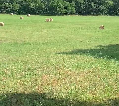 2nd image of 1091 Ripley Rte E #J2