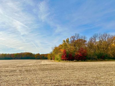 850th Ave, Glenville, MN, 56036