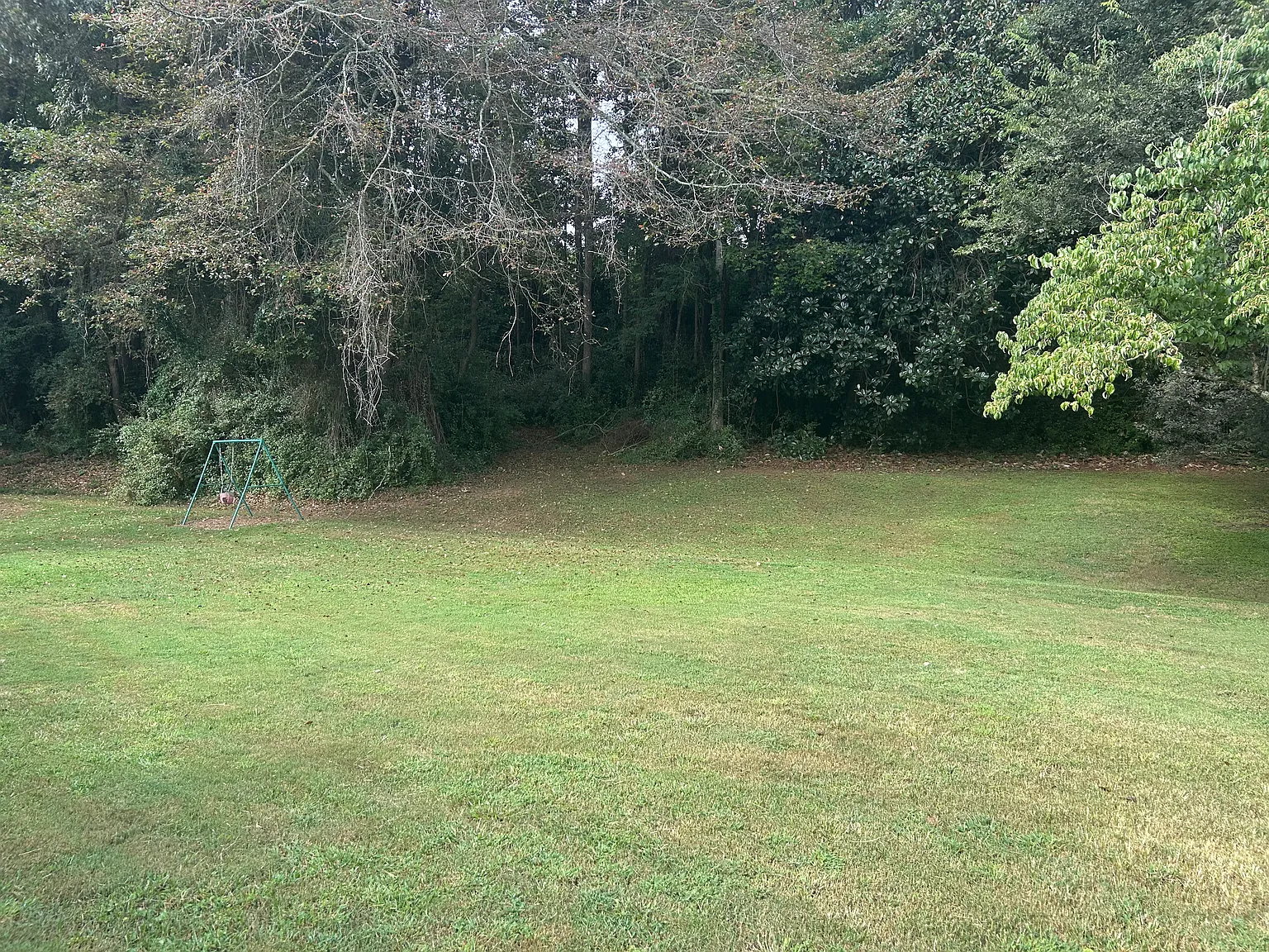 3 bed, 1305 sqft, $1,800 — Photo 3