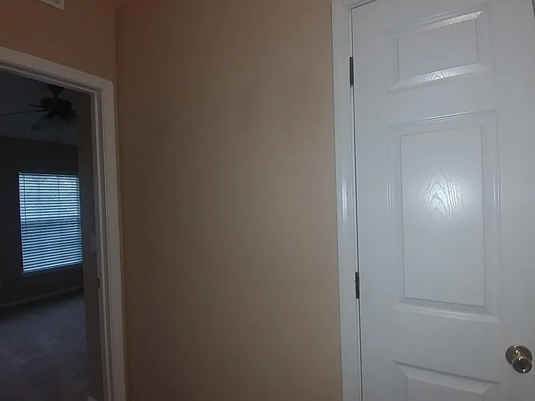 3528 Twisted Tree Ln — Photo 4