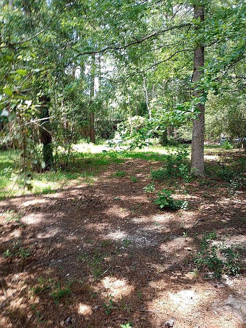2nd image of 476 Pine Burr Loop