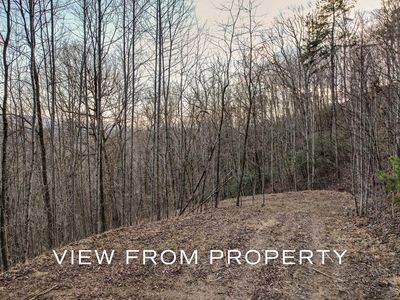 40 Buck Mountain Rd, Franklin, NC, 28734