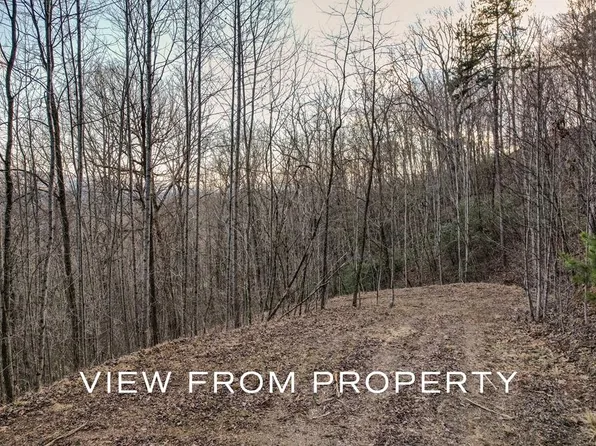 40 Buck Mountain Rd, Franklin, NC 28734