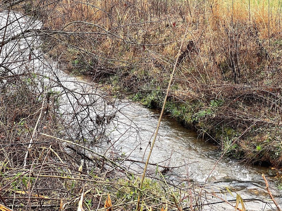 1st image of LOT 1 Brasstown Ln