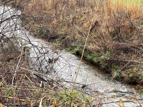 LOT 1 Brasstown Ln, Young Harris, GA 30582