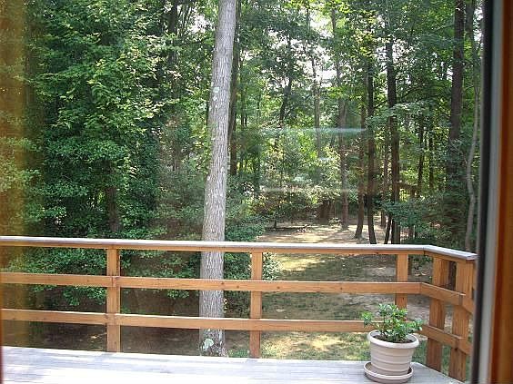Deck Looking out Back
