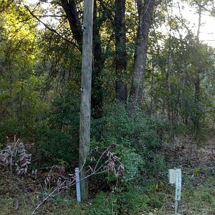 5th image of 1344 SW Drew Feagle Ave