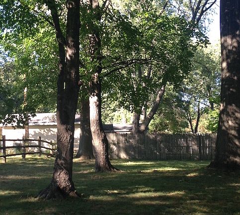 backyard looking north