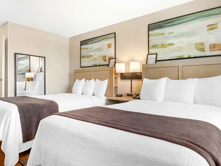 Studio Suite - 2 Full Beds
