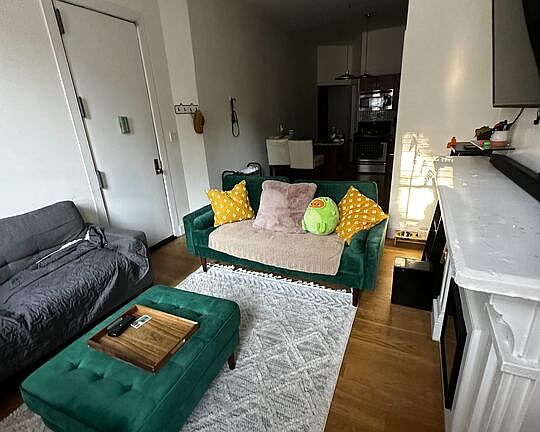 4th image of 251 Tompkins Ave APT 1L