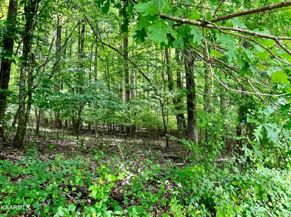 Dogwood Cove Dr, Spring City, TN 37381