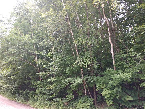 3rd image of 10477 W Munro Lake Dr #&-50