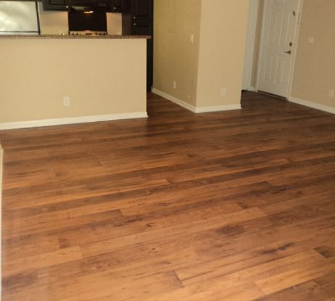 Gorgeous Wood Vinyl Floors