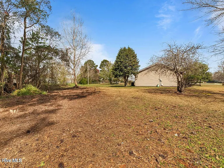 1019 Blue Leaf Pl — Photo 42