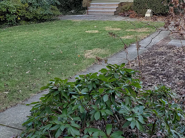 Rear Garden, maintained by owner