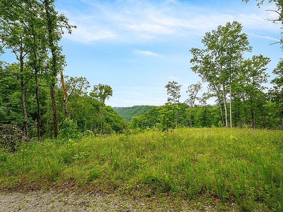 3rd image of 0 Knowles Ln