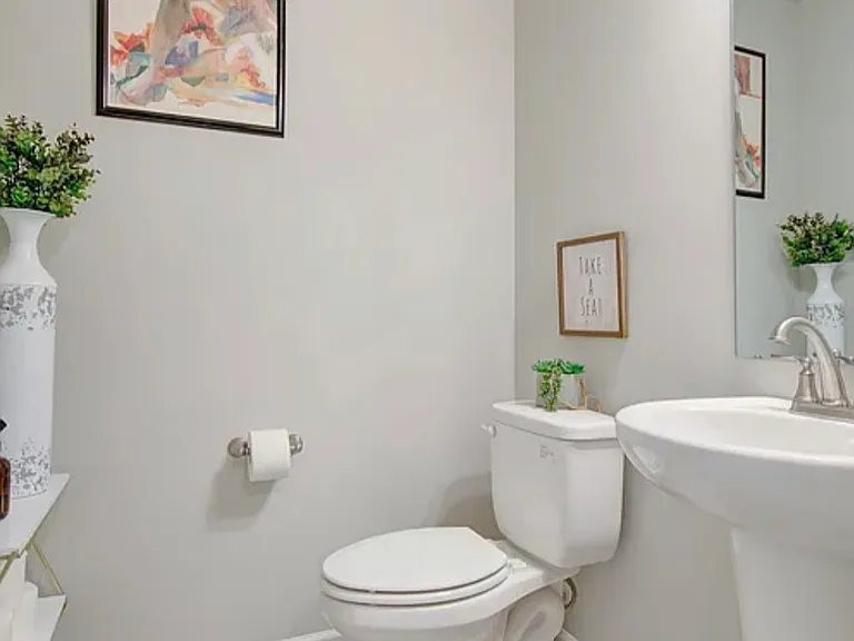 Downstair powder/guest bathroom