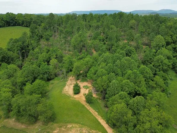 Isaac Ln, Meadowview, VA 24361