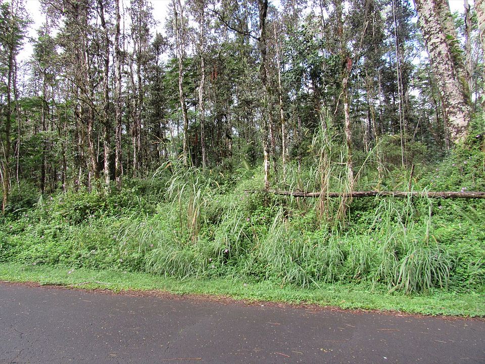 2nd image of Hapuu Rd