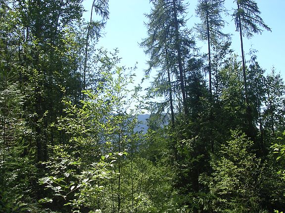 4th image of Nna Green Bay Rd