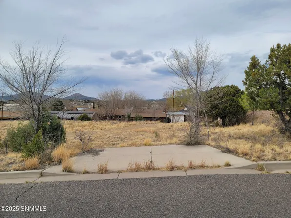 Sara Ct, Silver City, NM 88061