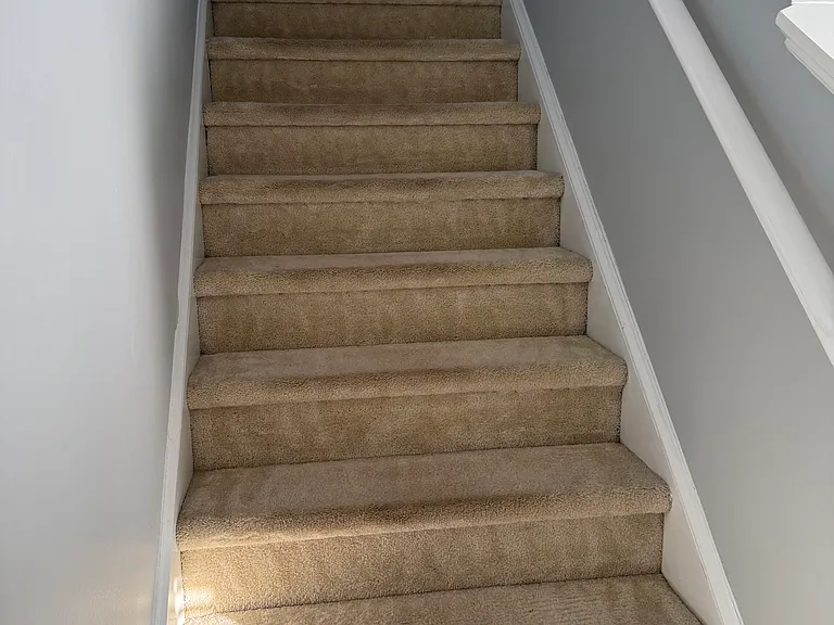 436 Carthage Ct — Photo 40
