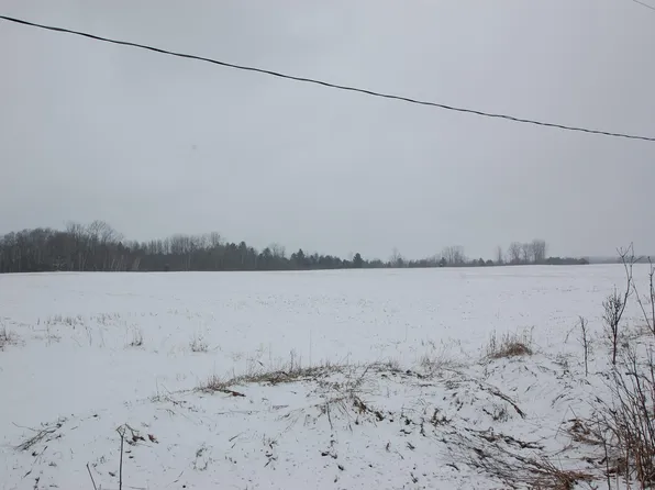 0 Sage Lake Rd, Prescott, MI 48756