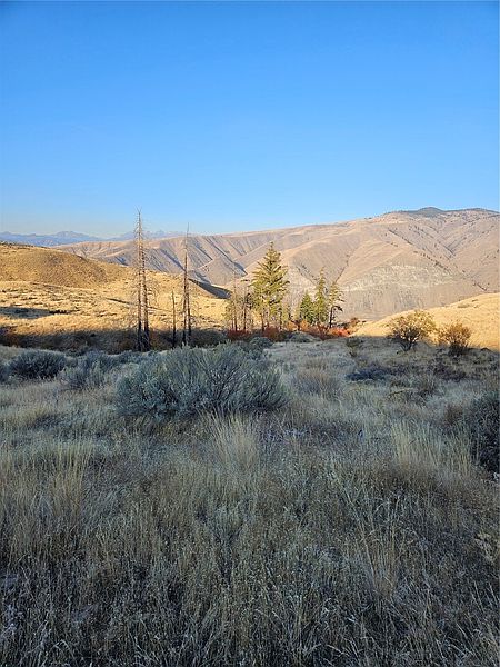 2nd image of 8 Blue Grade Road
