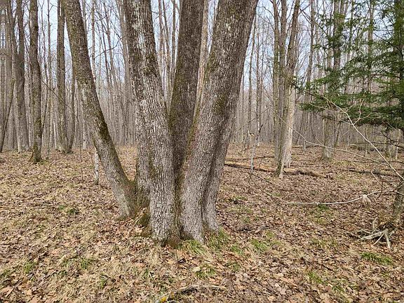 5th image of W15034 SUNNYSIDE ROAD