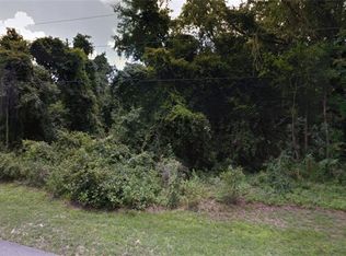 1036 N Sonia Ave, Inverness, FL 34453
