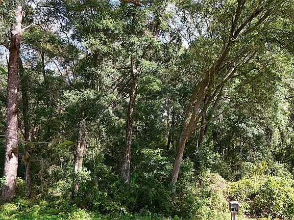 3rd image of 4197 N Indianriver Dr