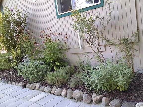 Herb garden below kitchen