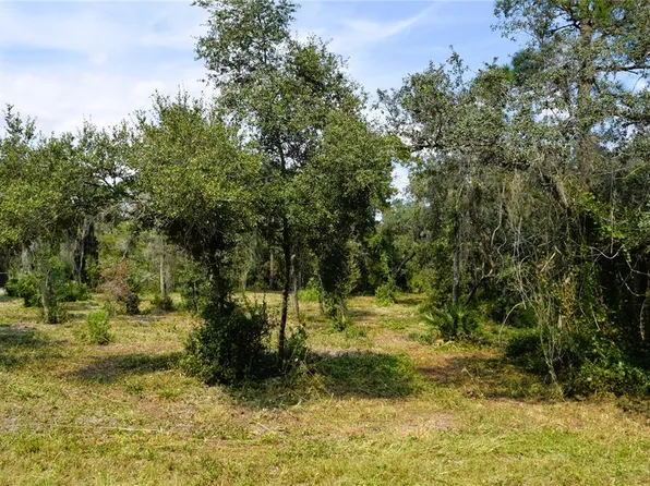 625 LAKE BUTLER AVENUE LOT 0160, OSTEEN, FL 32764
