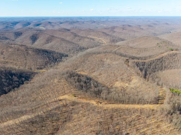 Buck Lick Branch Rd, Vanceburg, KY 41179