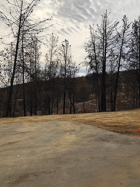 2nd image of 15319 Brunswick Dr