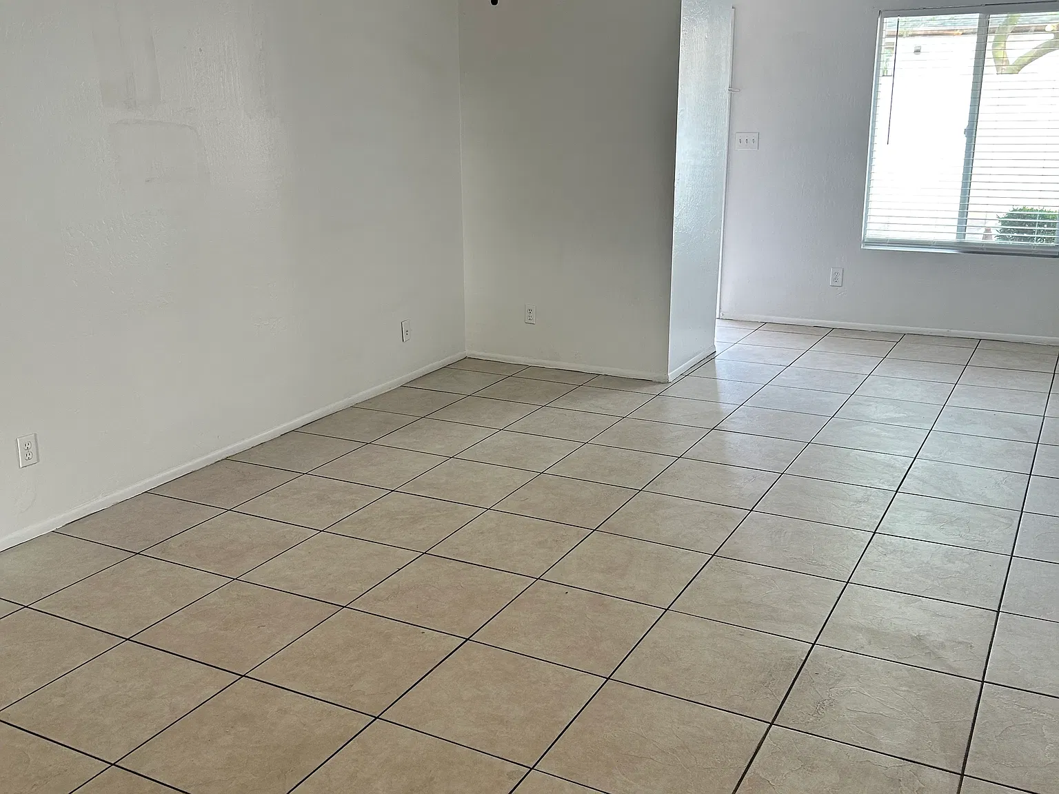 2 bed, 1000 sqft, $1,300 — Photo 2