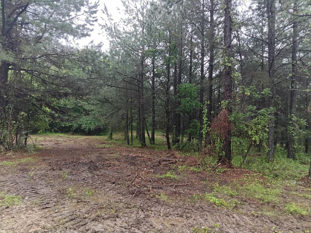 Real estate listing image