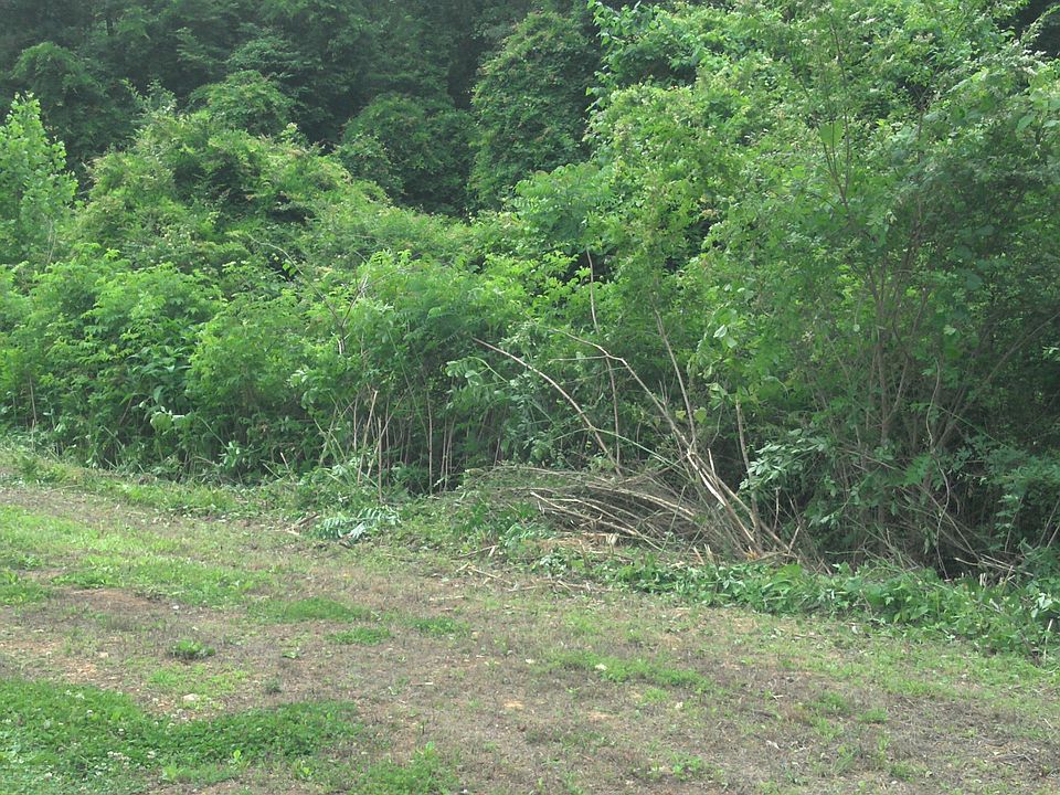2nd image of 0 Edwards Rd