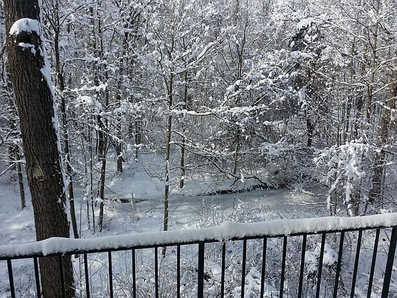 Winter View